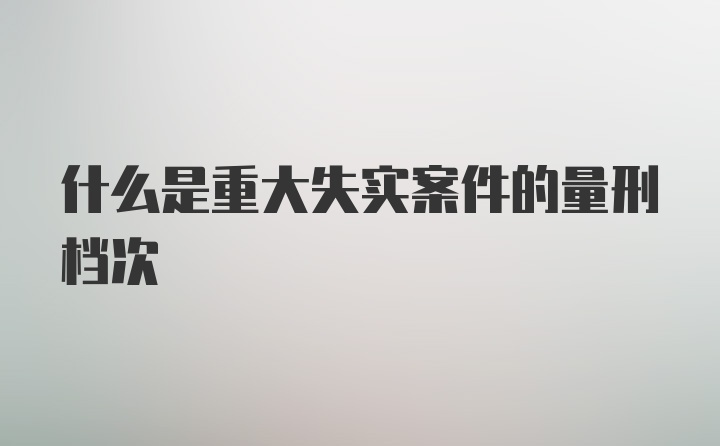 什么是重大失实案件的量刑档次