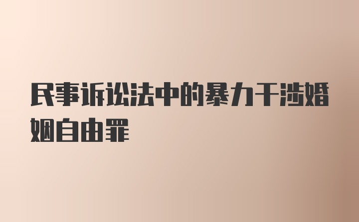 民事诉讼法中的暴力干涉婚姻自由罪