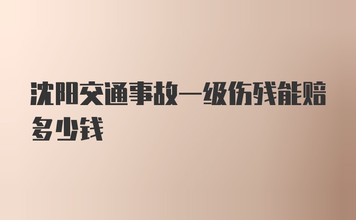 沈阳交通事故一级伤残能赔多少钱