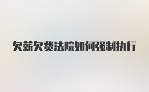 欠薪欠费法院如何强制执行