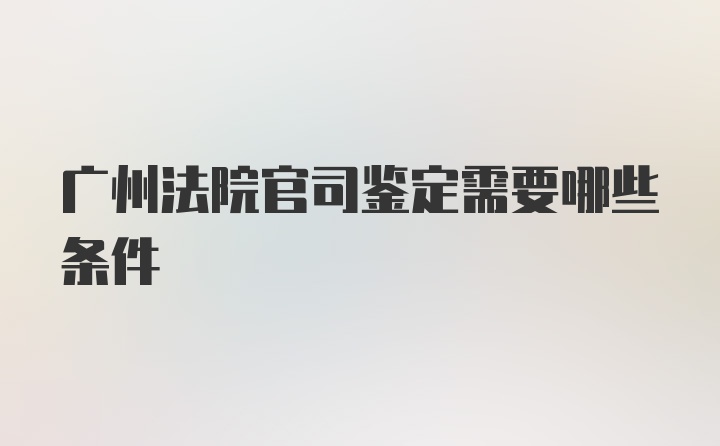 广州法院官司鉴定需要哪些条件