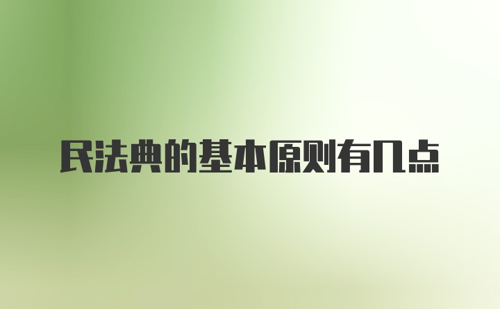 民法典的基本原则有几点