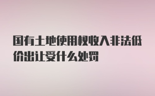 国有土地使用权收入非法低价出让受什么处罚