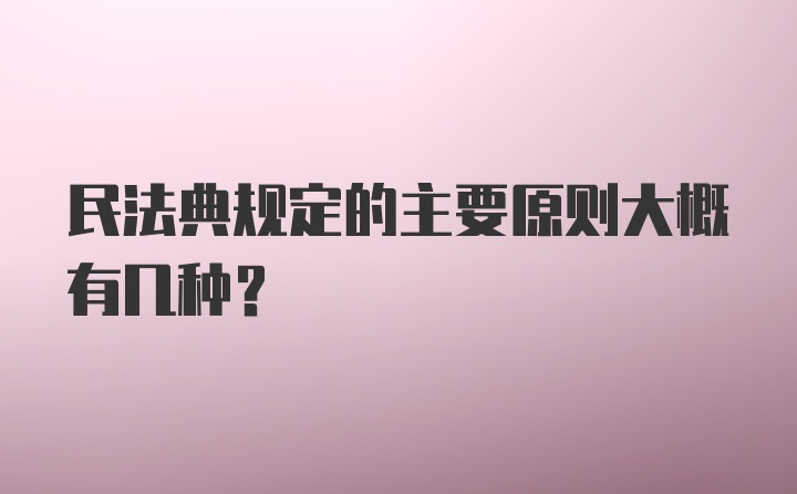 民法典规定的主要原则大概有几种？