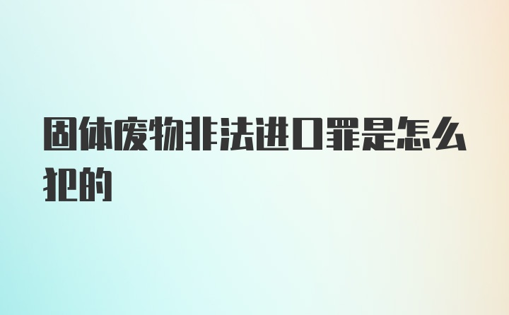 固体废物非法进口罪是怎么犯的