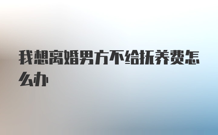 我想离婚男方不给抚养费怎么办