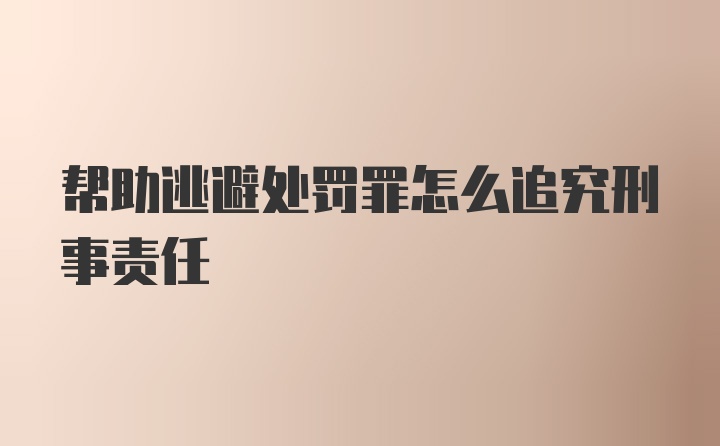 帮助逃避处罚罪怎么追究刑事责任