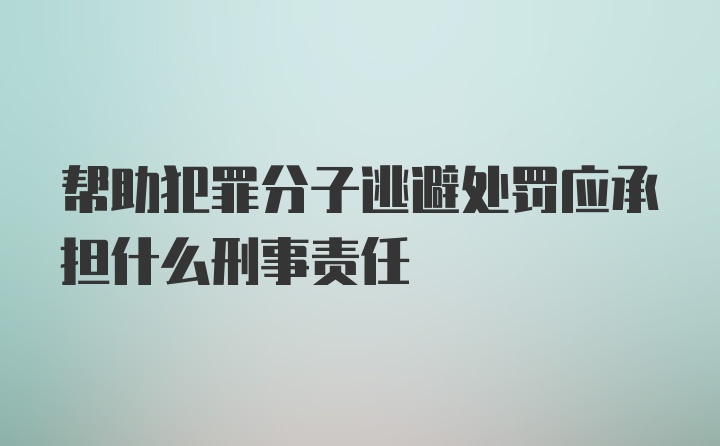 帮助犯罪分子逃避处罚应承担什么刑事责任