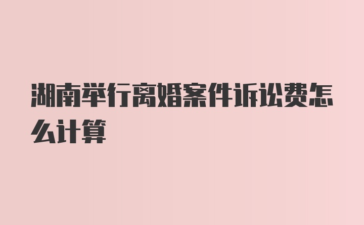 湖南举行离婚案件诉讼费怎么计算