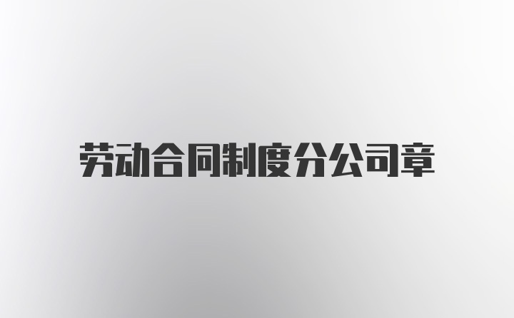 劳动合同制度分公司章