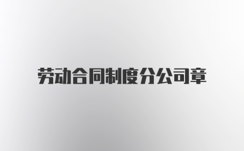 劳动合同制度分公司章