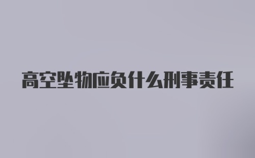 高空坠物应负什么刑事责任