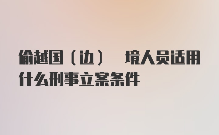 偷越国(边) 境人员适用什么刑事立案条件