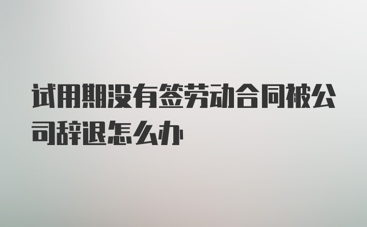 试用期没有签劳动合同被公司辞退怎么办