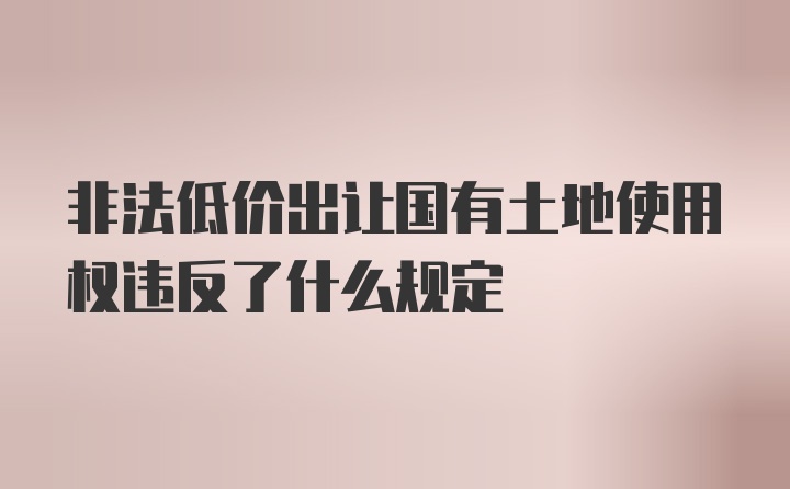 非法低价出让国有土地使用权违反了什么规定