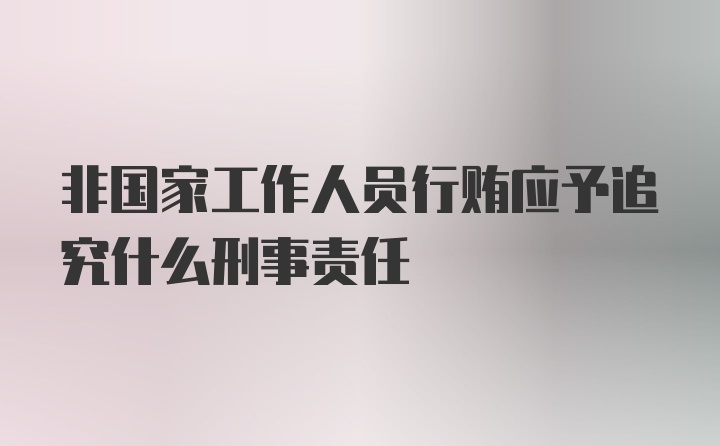 非国家工作人员行贿应予追究什么刑事责任