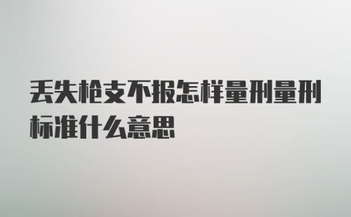 丢失枪支不报怎样量刑量刑标准什么意思