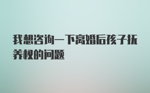 我想咨询一下离婚后孩子抚养权的问题