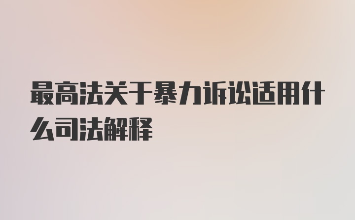 最高法关于暴力诉讼适用什么司法解释