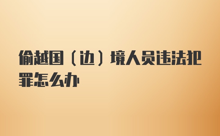 偷越国（边）境人员违法犯罪怎么办