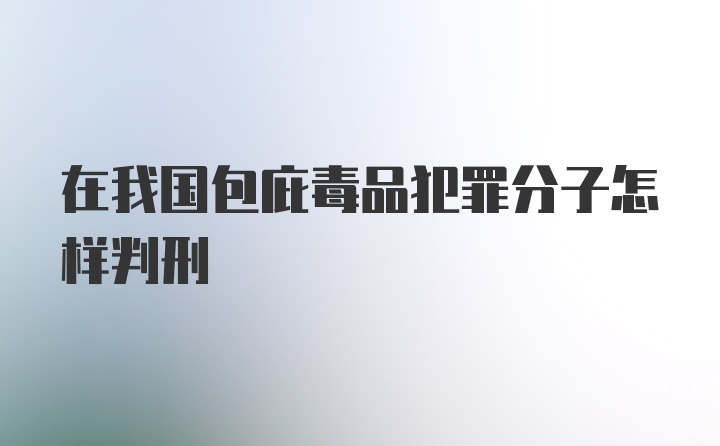 在我国包庇毒品犯罪分子怎样判刑