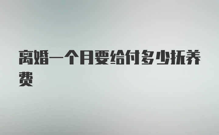 离婚一个月要给付多少抚养费