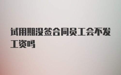 试用期没签合同员工会不发工资吗