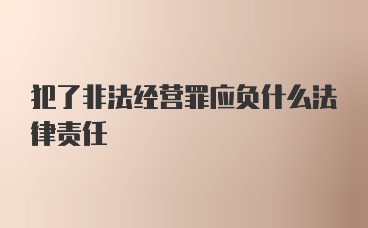 犯了非法经营罪应负什么法律责任