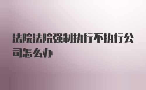 法院法院强制执行不执行公司怎么办