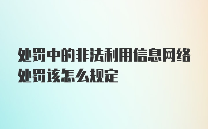 处罚中的非法利用信息网络处罚该怎么规定