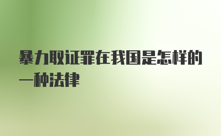 暴力取证罪在我国是怎样的一种法律