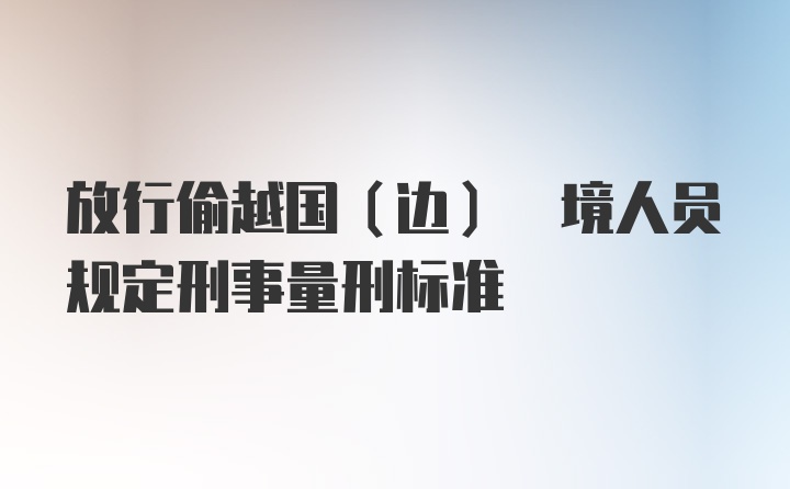 放行偷越国(边) 境人员规定刑事量刑标准