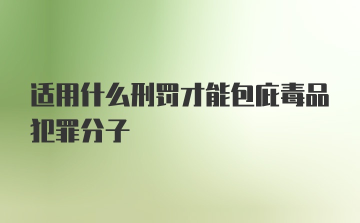 适用什么刑罚才能包庇毒品犯罪分子