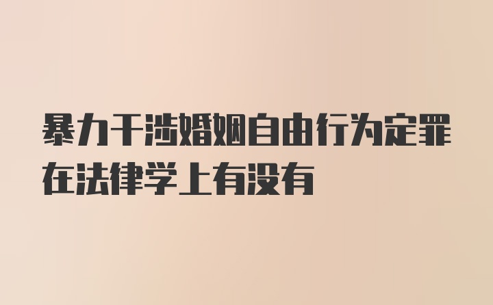 暴力干涉婚姻自由行为定罪在法律学上有没有