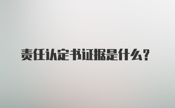 责任认定书证据是什么？