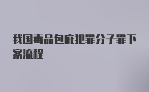 我国毒品包庇犯罪分子罪下案流程