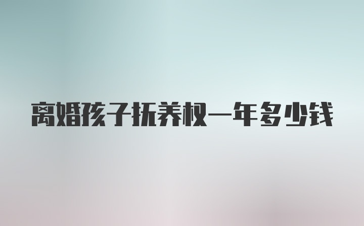 离婚孩子抚养权一年多少钱