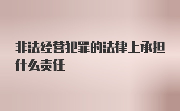 非法经营犯罪的法律上承担什么责任