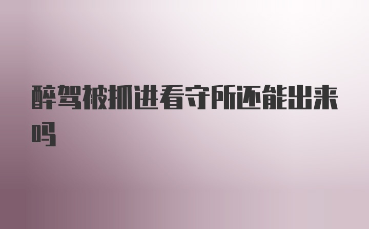 醉驾被抓进看守所还能出来吗