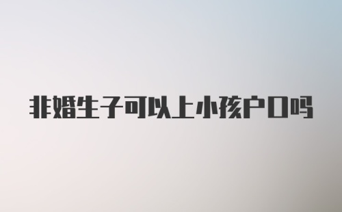 非婚生子可以上小孩户口吗