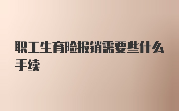 职工生育险报销需要些什么手续