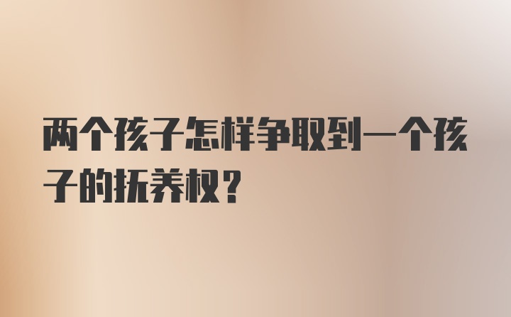 两个孩子怎样争取到一个孩子的抚养权？