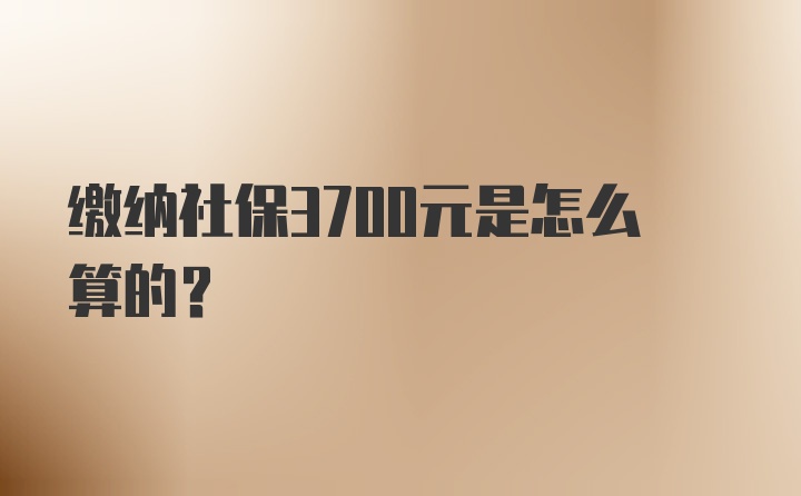 缴纳社保3700元是怎么算的？