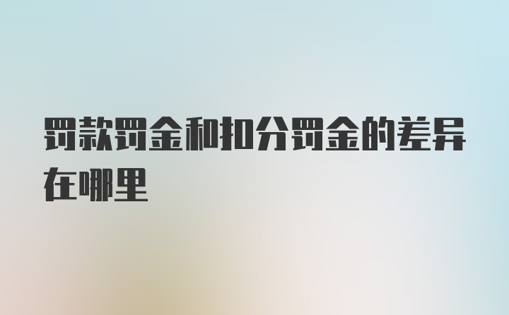 罚款罚金和扣分罚金的差异在哪里