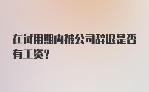 在试用期内被公司辞退是否有工资？