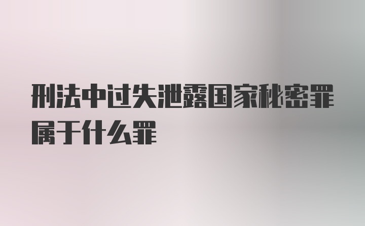 刑法中过失泄露国家秘密罪属于什么罪