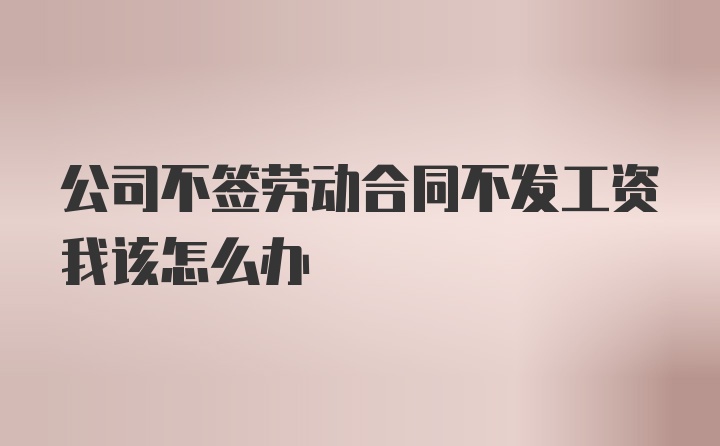 公司不签劳动合同不发工资我该怎么办