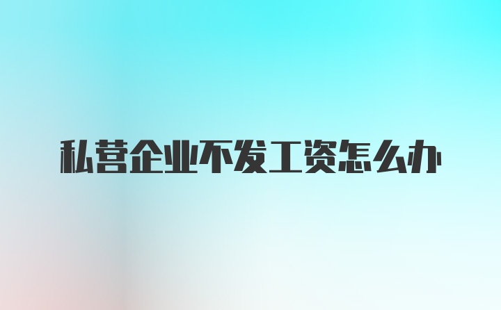 私营企业不发工资怎么办