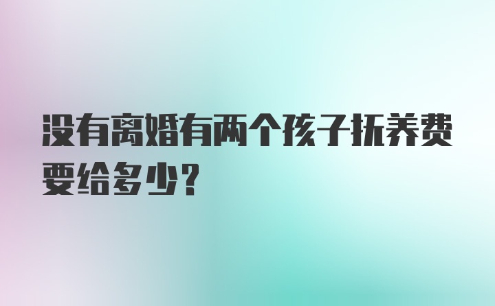 没有离婚有两个孩子抚养费要给多少？