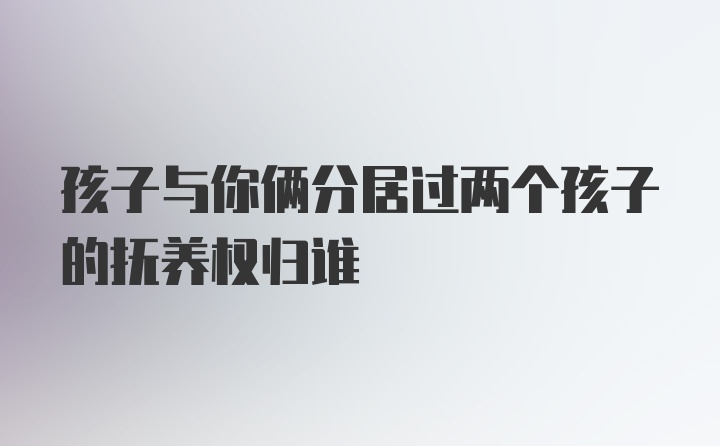 孩子与你俩分居过两个孩子的抚养权归谁